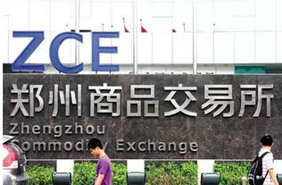 投資者必知 全國(guó)性交易所僅8家，警惕上海信息咨詢(xún)服務(wù)類(lèi)陷阱