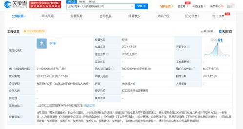 上海信息咨詢服務(wù) 數(shù)字化浪潮下的智慧樞紐